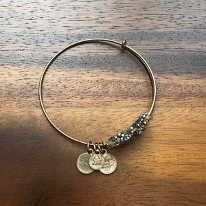 Alex and Ani Bracelet